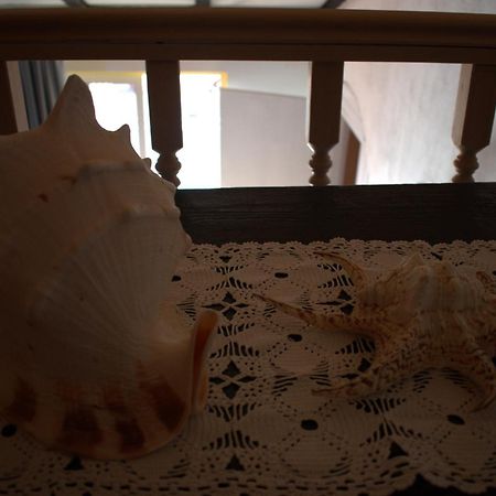 Apartman Marko Tribalj Kültér fotó